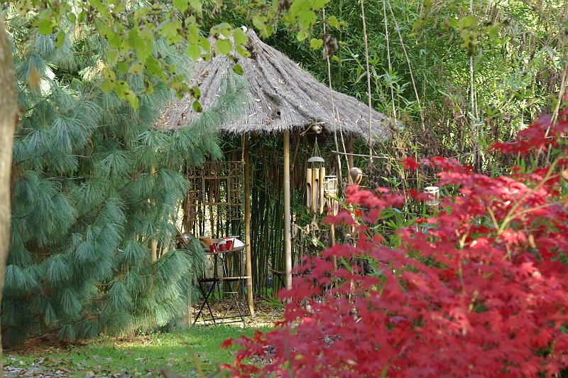cabane en bambou
